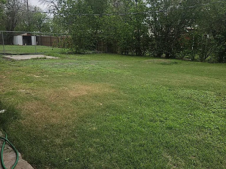 Large Backyard