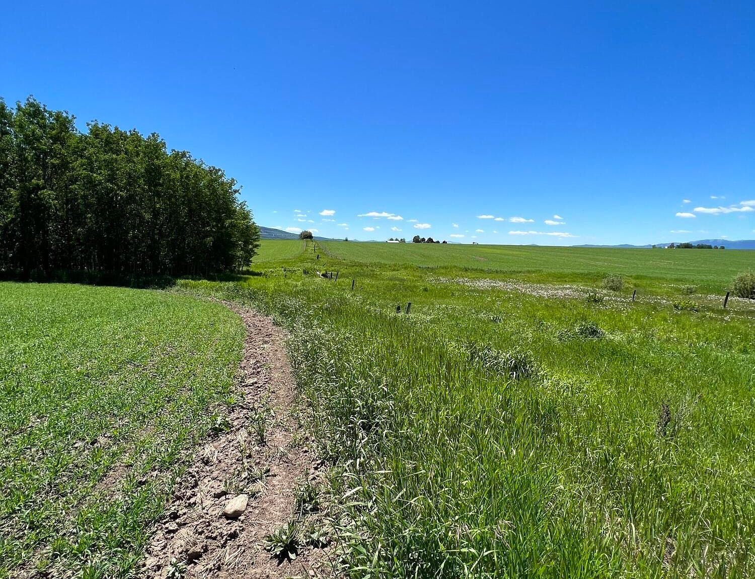W Alta Rd, Alta, WY 83414 Zillow