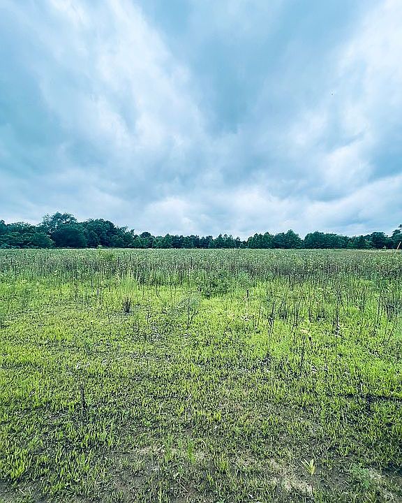 2nd image of 50230 County Road 652 Parcel 4