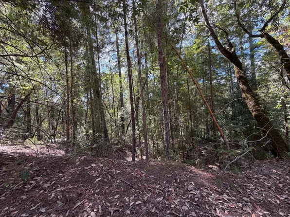 6911 Timber Drive, Sebastopol, CA 95472