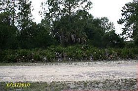 1st image of 654 Highway 98 E APT 4