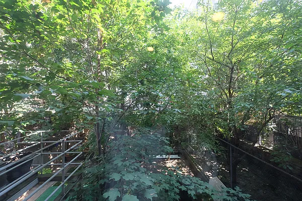 Rented by Skyward | media 10