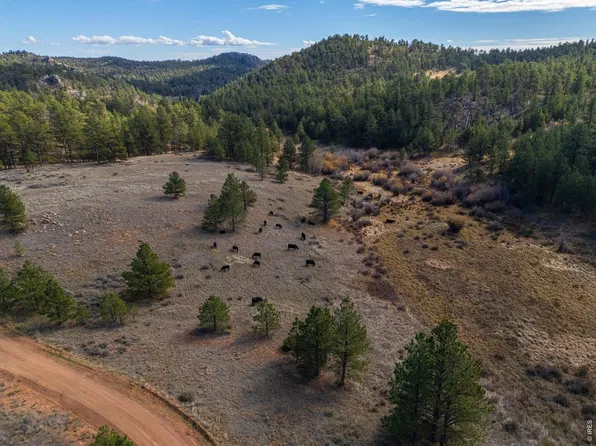 8 Spring Trl, Livermore, CO 80536