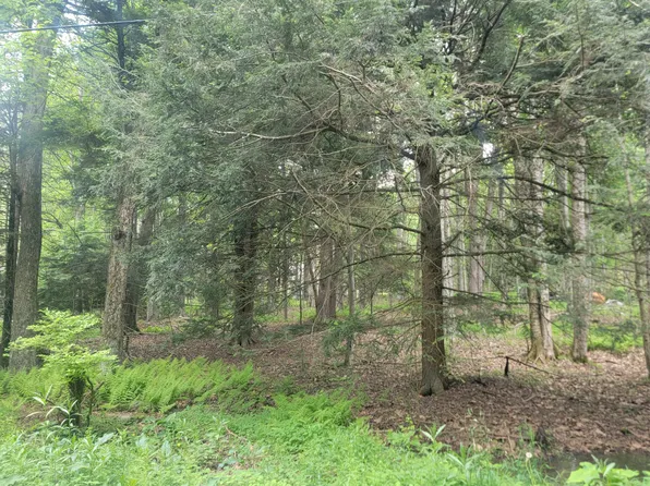 46 Onocop Dr, Pocono Lake, PA 18347