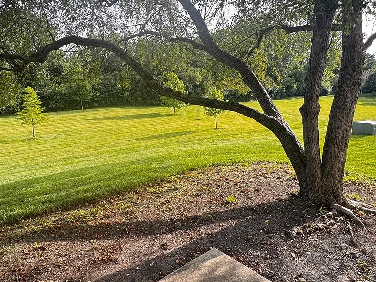 224 Steeplechase Ct — Photo 5