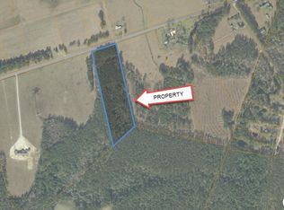 Pauley Swamp Rd, Conway, SC 29527