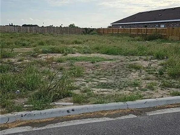 1009 W Kohala Ave, Alton, TX 78573