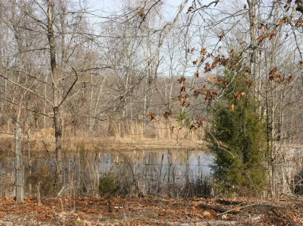 4231 Lylewood Rd, Indian Mound, TN 37079