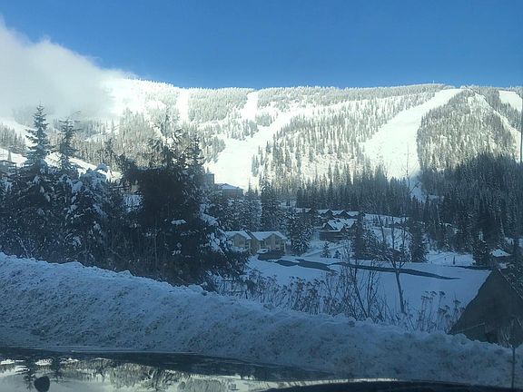 View out of window in living room