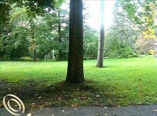 3rd image of 24864 Glenside Dr