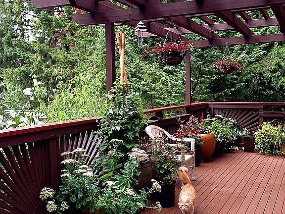 Pergola Remodeled 2013