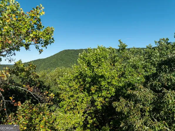 3 Wilderness Trl, Ellijay, GA 30540