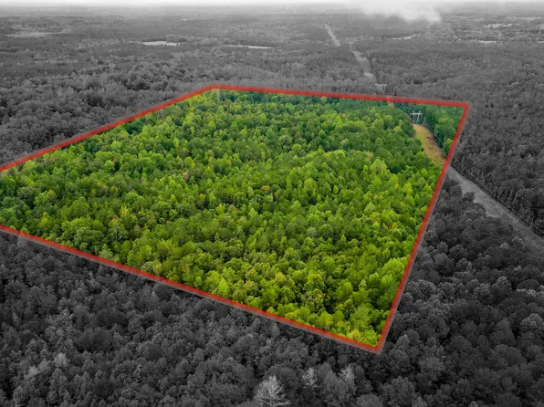 5971 430 Country Rd, Quitman, MS 39355