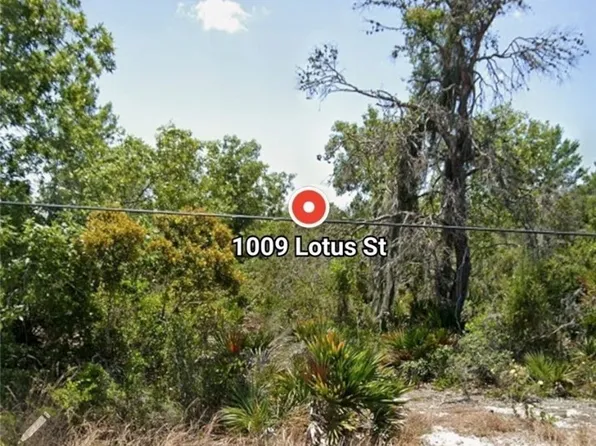 1009 Lotus St, Lake Placid, FL 33852