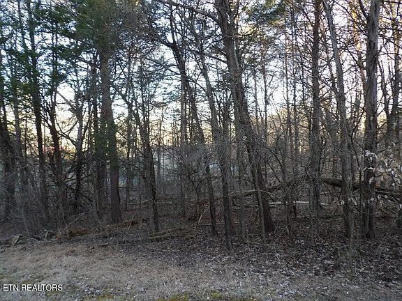 3rd image of LOT 1060 Mountain View Ln