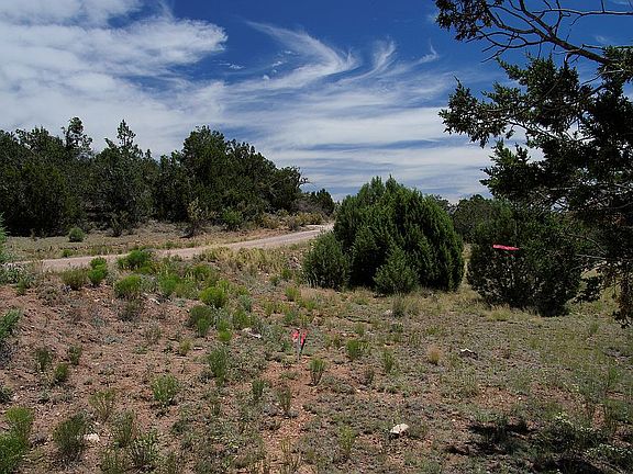 4th image of 32365 W Camino Oso