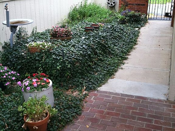 WALKWAY