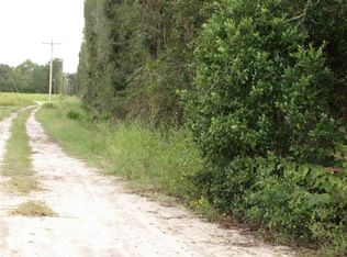 SE Baldwin Dr, Lee, FL 32059