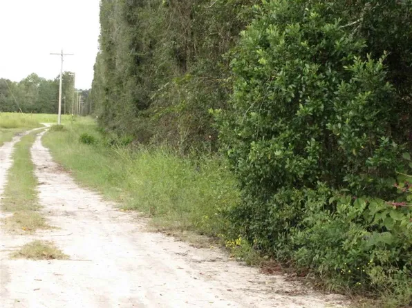 SE Baldwin Dr, Lee, FL 32059