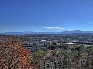 216 Tree Top Ln, Johnson City, TN 37601