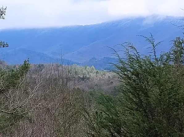 166 Shenendoa Dr, Ellijay, GA 30540