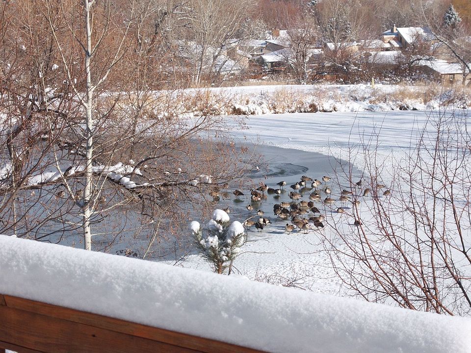 Lake view from deck