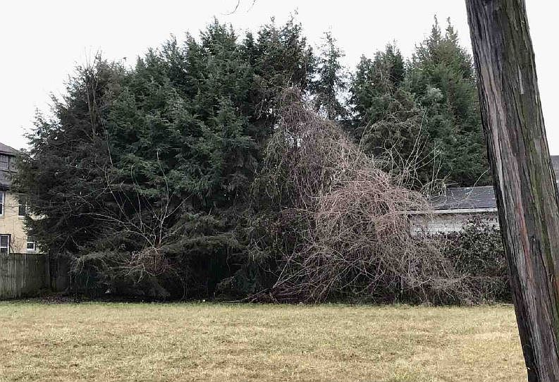 2nd image of 1117 Stadium Dr