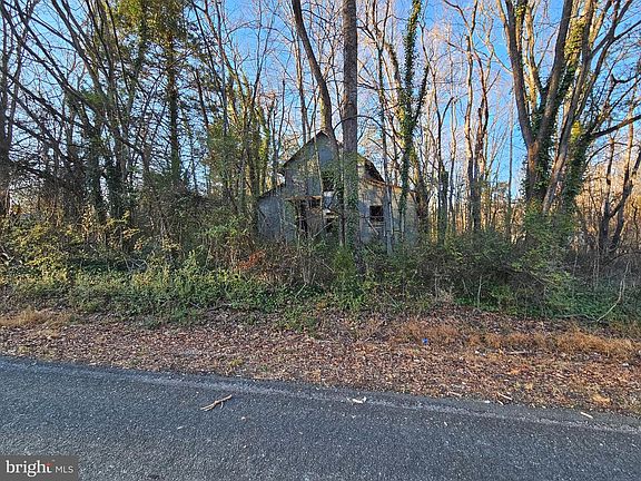 4th image of Physic Spring Rd