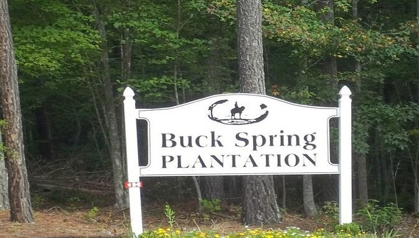 2nd image of Buck Spring Plantation #141W