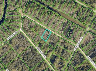 NW Avenue Lot #5, Webster, FL 33597