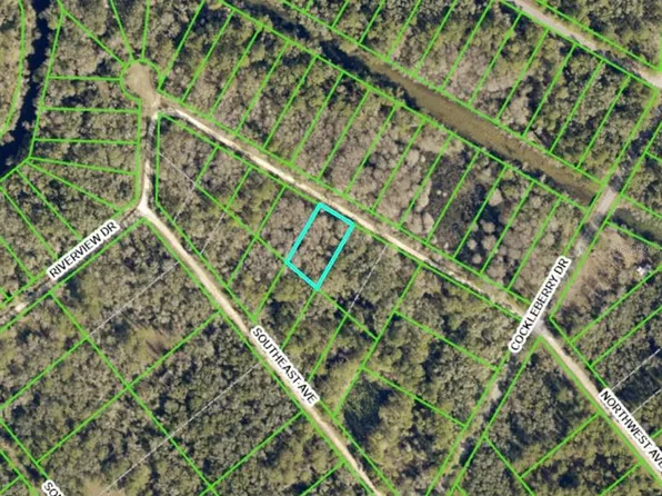 NW Avenue Lot #5, Webster, FL 33597