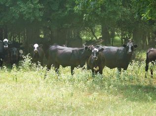 Fm 1892, Frankston, TX 75763