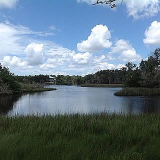 This is truly what we work s