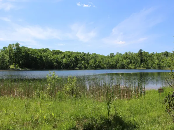 W Evergreen Rd, Gowen, MI 49326
