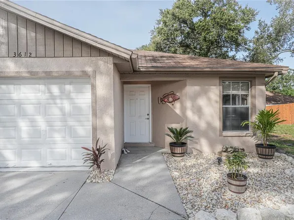 3612 Sammy Ct, Palm Harbor, FL 34684