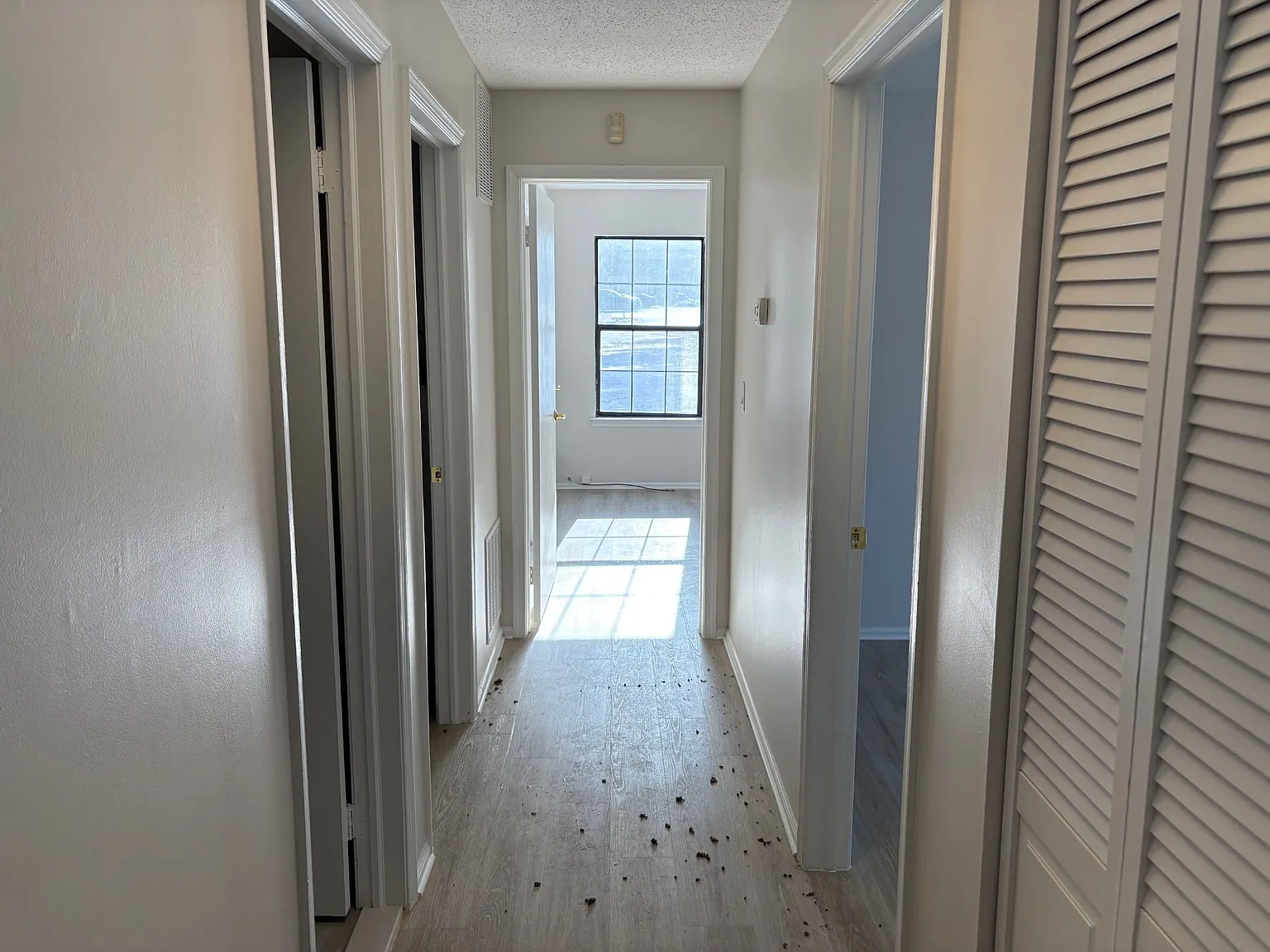 2 bed, 1108 sqft, $2,800 — Photo 2
