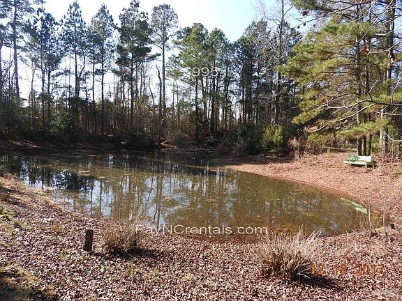 Small pond