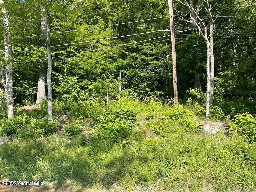 L24 Palisades Road, Brant Lake, NY 12815 MLS 202320113 Zillow