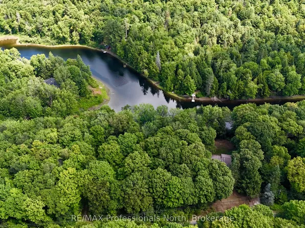 0 Sherwood Forest Rd, Bracebridge, ON P1L 1X3