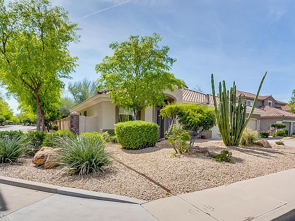 2nd image of 1439 E Palomino Dr