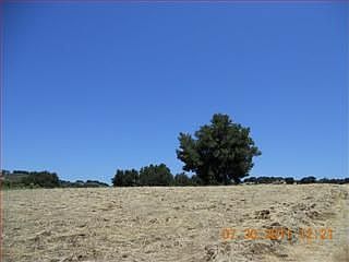 5th image of 21995 Via Regina