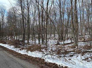 Park Ave, Wabeno, WI 54566