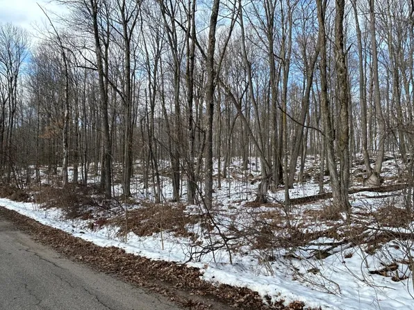 Park Ave, Wabeno, WI 54566