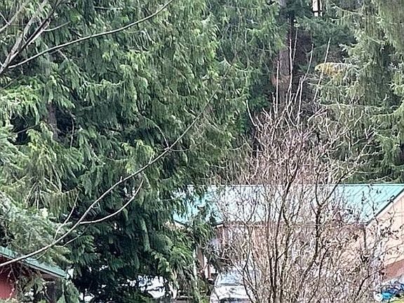 3rd image of 16506 261st Ave E