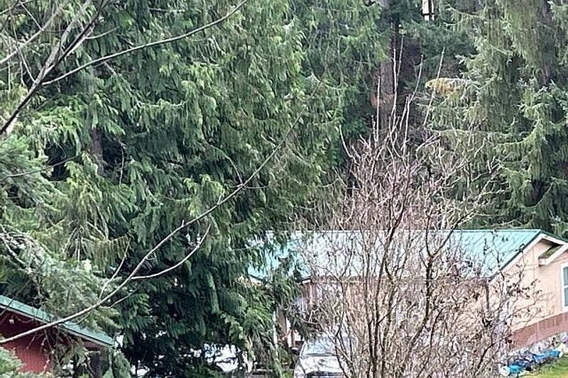 16506 261st Ave E, Buckley, WA 98321 | Zillow