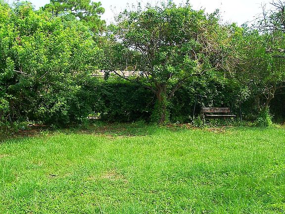 Large Fenced Backyard