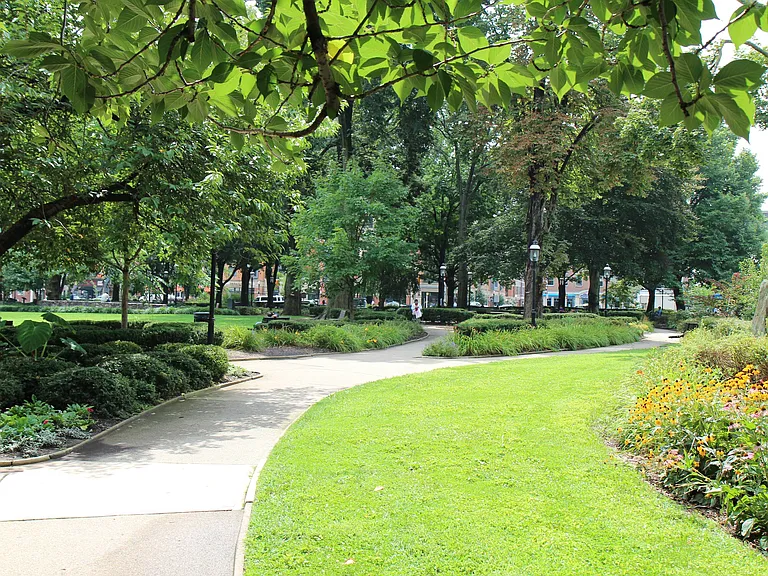 Peaceful tree lined recreational trail