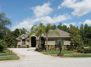 1423 Aristides Ct, Odessa, FL 33556