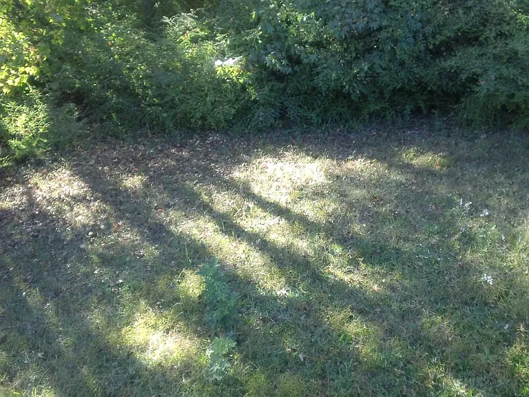 122 Samanthas Way — Photo 9