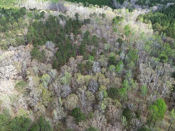 Dji Fly 20260328 115830 537 1774714091439 Photo Optimized